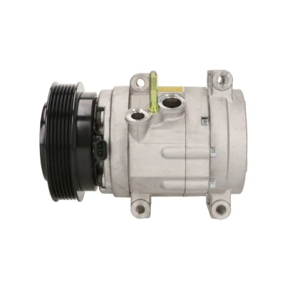 Bild av DELPHI CS20322 compresseur De Climatisation SP17 PAG 46 avec huile CHEVROLET: Captiva, OPEL: Antara
