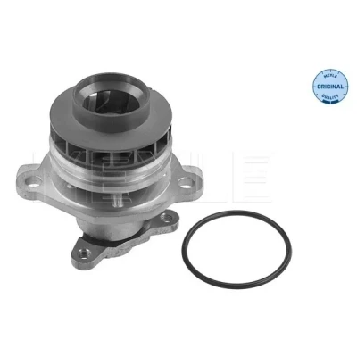 Bild av MEYLE 16 13 220 0020 Pompe à eau avec joint d&#039;étanchéite ORIGINAL Quality RENAULT: TRAFIC 2 Kasten, LAGUNA 3, MASTER 3 Bus