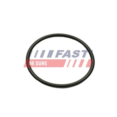 Bild av FAST FT49460 Joint Collecteur d&#039;Admission Sortie RENAULT: MEGANE 2, CLIO Kangoo I, DACIA: Duster SUV, Logan I MCV, Sandero