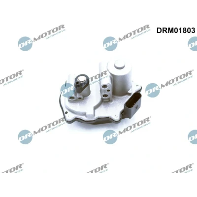 Bild av DR.MOTOR AUTOMOTIVE DRM01803 Element d&#039;ajustage, soupapes de turburlence (tuyau d&#039;admis) AUDI: A6 C6 Avant, A3 Sportback, Berline