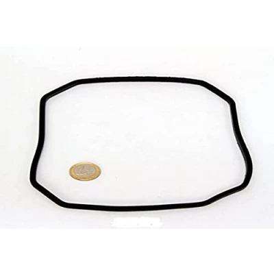 Bild av JBL CP e4/7/900/1,2 Pumphuvud gummipackning, reservdel för CristalProfi e externt filter
