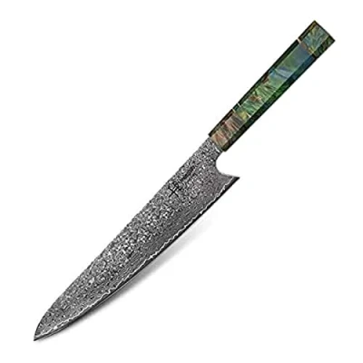 Bild av hajegato Damaskus kockkniv Gyuto Unikt handtag Professionellt 25cm japanska kockar kökskniv Vg10 högkolhaltig 67 lager stålkniv Ultra skarp med slida &amp; presentlåda