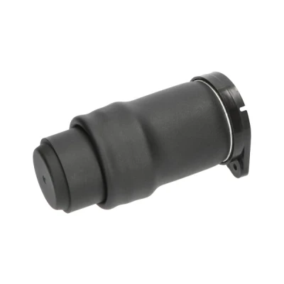 Bild av KAVO PARTS SAS 10021 Luftfjäder, hjulupphängning Bakaxel