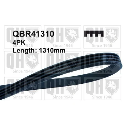 Bild av QUINTON HAZELL QBR41310 Courroie Poly V 1310 4 CHRYSLER: PT Cruiser Break