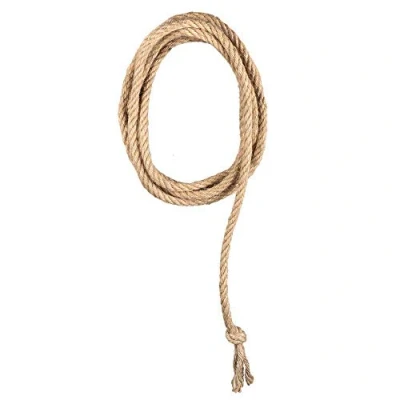 Bild av Boland 54343 Lasso/västernrep, längd 185 cm, färg beige, tillverkad av 100 procent jute, bra tillbehör för rodeoreider eller cowboys till karneval och karneval, temafest, utklädnad, tillbehör,
