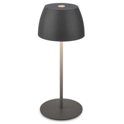 Bild av BRILONER Mini LED bord trådlös IP44 med touch, steglöst dimbar, batteri och ljuskälla utbytbar, sänglampa, deco lampa, bord, 8 x 20 cm (D H), antracit