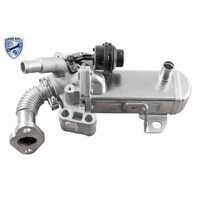 Bild av ACKOJA A38 63 0004 Vanne EGR électrique avec radiateur Mise à jour de l&#039;outil commande/du logiciel nécessaire NISSAN: NP300 Navara Pick up