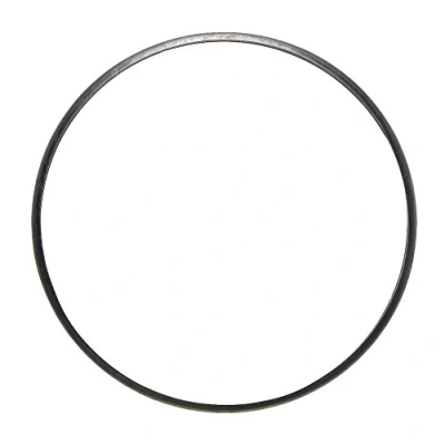 Bild av AJUSA 01396100 Joint d&#039;étanchéité, tuyau d&#039;échappement PEUGEOT: 208 I 3/5 portes, 308 II SW 2, DS: DS3 portes