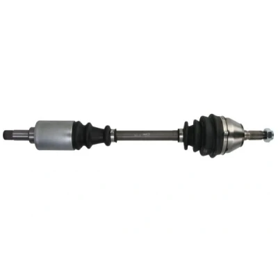 Bild av Drivaxel PASCAL G2P021PC