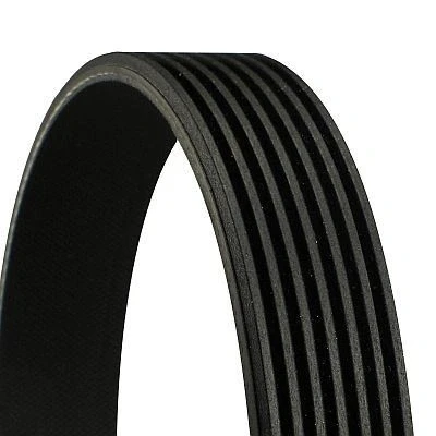 Bild av CONTITECH 7PK1038 ELAST Multirem 1038mm 7 DACIA: Duster SUV, II, Lodgy