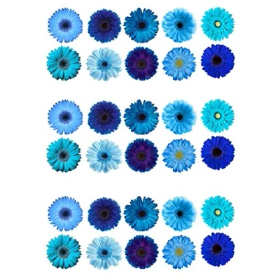 Bild av 30 underbara blandade blå gerbera blomma ätbara kakor papper tårtdekorationer