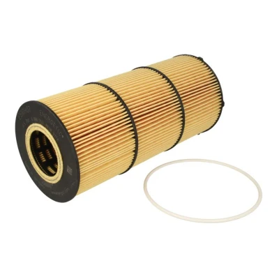 Bild av Oljefilter HENGST FILTER E510H07 D129