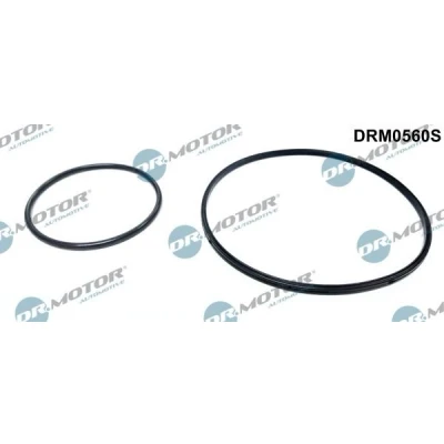 Bild av DR.MOTOR AUTOMOTIVE DRM0560S Jeu de joints, pompe à vide BMW: 3 Berline, Coupe, 5 Berline