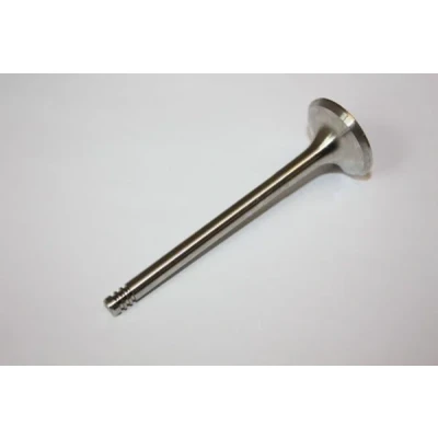 Bild av AUTOMEGA 130107610 Soupape d&#039;Échappement OPEL: Astra G CC, Vectra B F CC