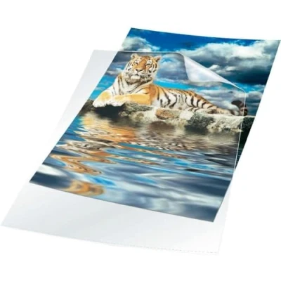 Bild av Durable 233519 Aktmapp A4, transparent, 100 stycken