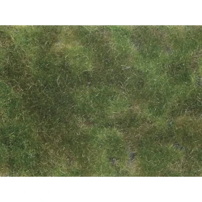 Bild av NOCH 07251, H0 (1:87)/TT (1:120), Grön