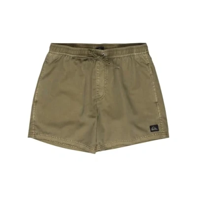 Bild av Quiksilver Everyday Surfwash Volley Surfshorts, Storlek: Medium, Aloe