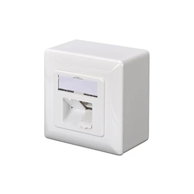 Bild av DIGITUS kopplingsdosa Cat 5e 2 port RJ45 ytmonterad nätverksuttag matning horisontell designbar ren vit
