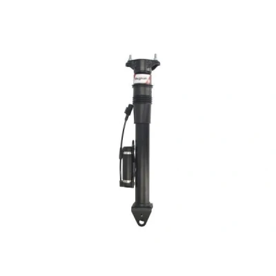 Bild av Luftfjäderben MAGNUM TECHNOLOGY APM004MT