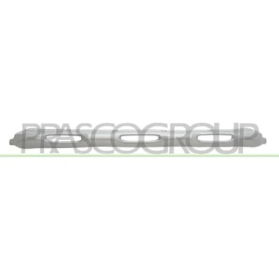 Bild av PRASCO DA7341245 Baguette et bande protectrice, pare chocs avant
