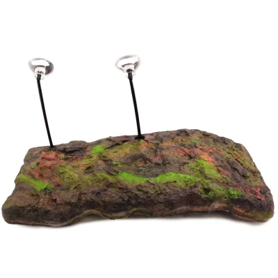 Bild av Zoo Med Turtle Dock Large
