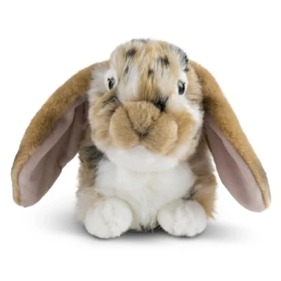 Bild av Levande natur brun holländsk läppörad kanin gosedjur fluffig kanindjur mjuk leksaksgåva för barn 25 cm