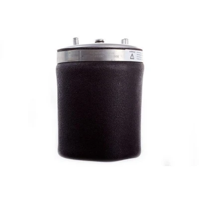 Bild av Luftfjäder, hjulupphängning Denckermann DSA110G