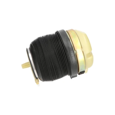 Bild av Luftfjäder, hjulupphängning KAVO PARTS SAS 10009