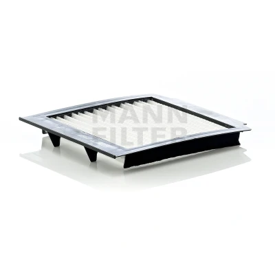 Bild av MANN FILTER CU 1009 Filtre d&#039;habitacle à particules 217 196 21 LAND ROVER: Range Rover 2