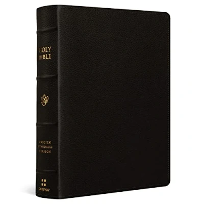 Bild av Esv Single Column Journaling Bible, Large Print: Buffalo Leather, Deep Brown