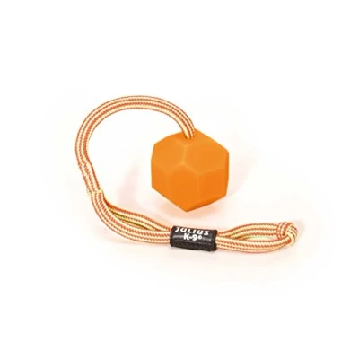 Bild av Julius K9 Ball with cord diam. 60mm smooth orange soft