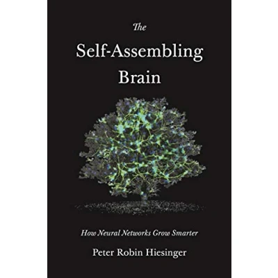 Bild av The Self Assembling Brain: How Neural Networks Grow Smarter