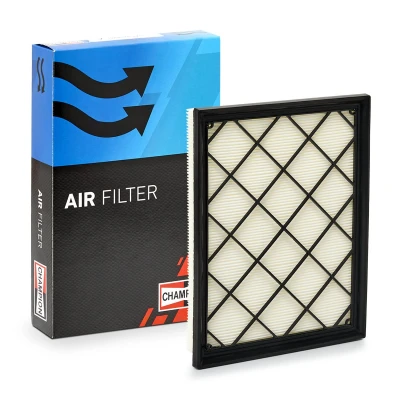 Bild av Luftfilter CHAMPION CAF101189P