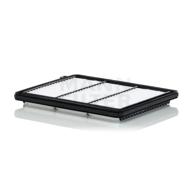 Bild av Luftfilter MANN FILTER C 25 051