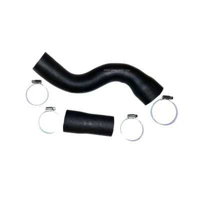 Bild av BUGIAD 88778 Gaine De Suralimentation RENAULT: MEGANE 3, 3 Grandtour, Coupe
