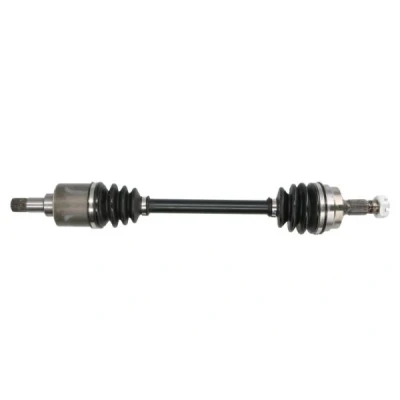 Bild av Drivaxel PASCAL G2P029PC