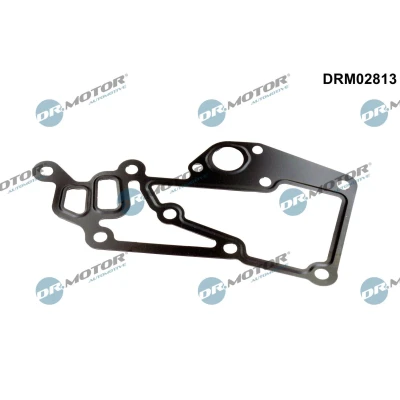 Bild av DR.MOTOR AUTOMOTIVE DRM02813 Packningar PEUGEOT: 206 Hatchback, 307 CC, SW, CITROËN: Jumpy II MPV