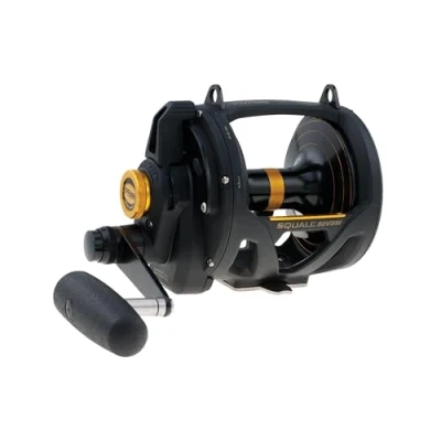 Bild av Penn Squall Lever Drag 2 Speed multirulle 50VSW