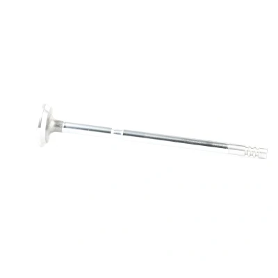 Bild av Utloppsventil MAHLE 081 VA 31261 000