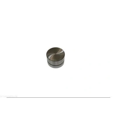 Bild av AUTOMEGA 130106210 Poussoir hydraulique Côté d&#039;admission, d&#039;échappement OPEL: Meriva A, Astra G Cabriolet, CC