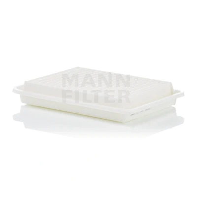Bild av Luftfilter MANN FILTER C 30 009
