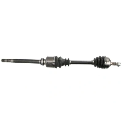 Bild av Drivaxel Pascal G2C073PC