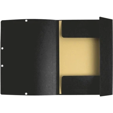 Bild av Exacompta Ref 55300E paket med 10 elastiska mappar 3 flikar glänsande kort 355 g/m kvm A4 Svart
