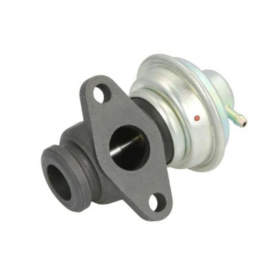 Bild av Egr Ventil Magneti marelli 571822112113