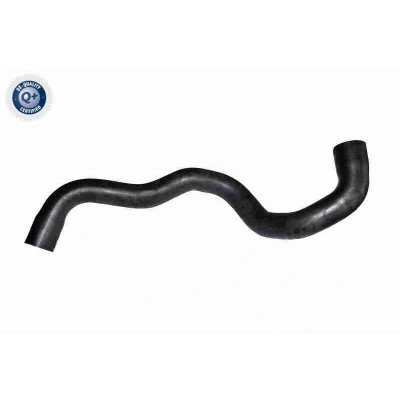 Bild av VAICO V10 7562 Durite De Refroidissement gauche inférieur EPDM (éthylène propylène diène caoutchouc) VOLKSWAGEN: Transporter 5 Bus,
