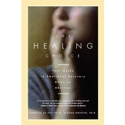 Bild av The Healing Choice: Your Guide to Emotional Recovery After an Abortion