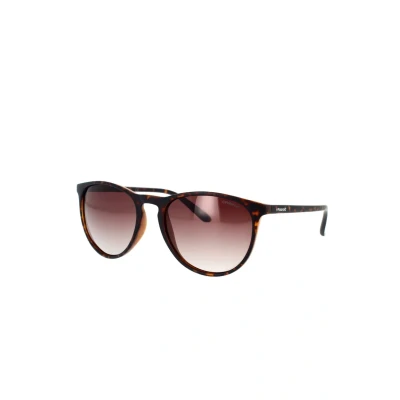 Bild av Polaroid PLD 6003/N/S V08 HAVANA, 54, ROUND/OVAL, Polarized