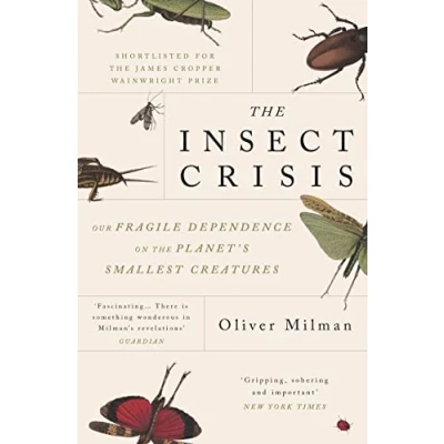 Bild av the Insect Crisis: Our Fragile Dependence on Planet&#039;s Smallest Creatures