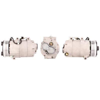 Bild av LUCAS ACP490 Compresseur De Climatisation PAG 46 R 134a avec joints FORD: Focus 2, C Max, 2 Kombi