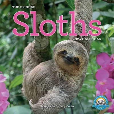 Bild av Original Sloths Wall Calendar 2024: The Ultimate Experts at Slowing Down